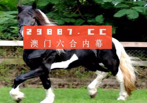 澳门和香港必开一肖一码一中,词语释义解释落实|丰富释义