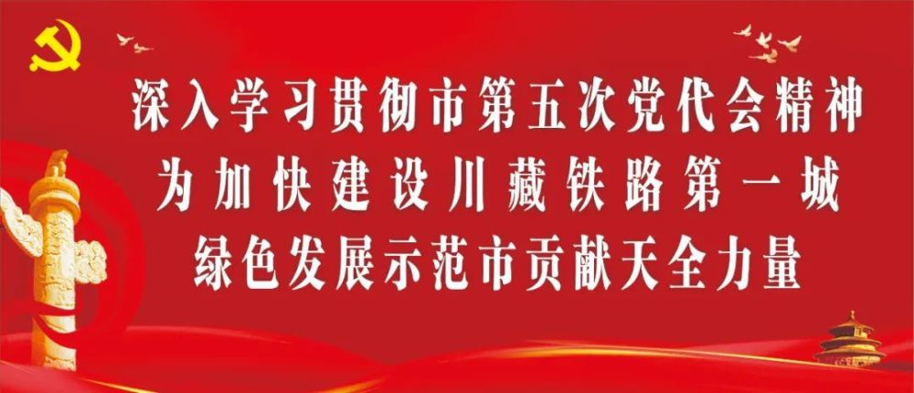 新澳门内部资料精准大全,全面贯彻解释落实|一切贯彻